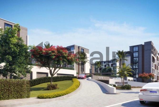 8440831 - Property Image 3