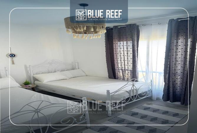 8279389 - Property Image 3