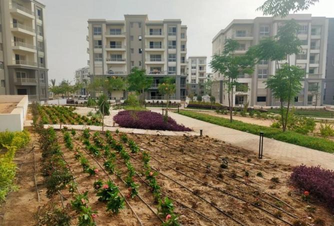 8235408 - صورة العقار 3