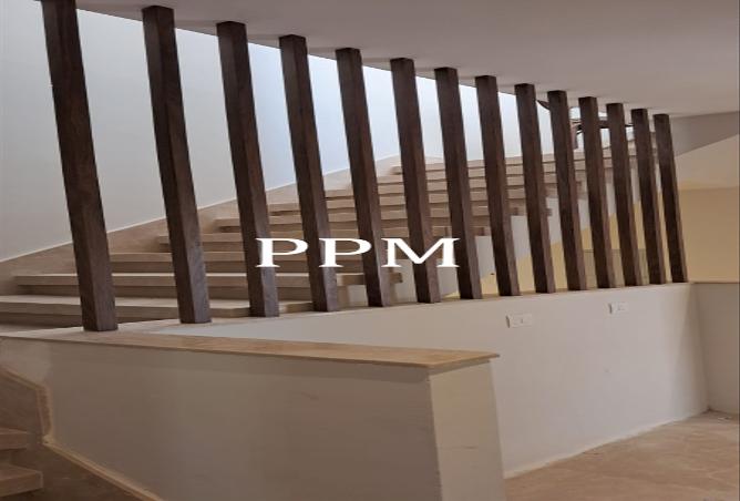 7980734 - Property Image 3