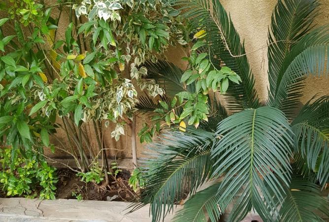 8539722 - الصورة الرئيسية للعقار