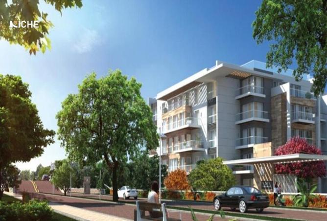 8509524 - Property Image 3