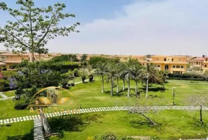 8427093 - Property Image 3