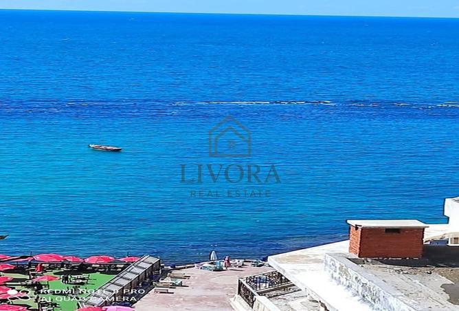 8216875 - صورة العقار 2