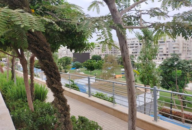 7974011 - Property Image 3