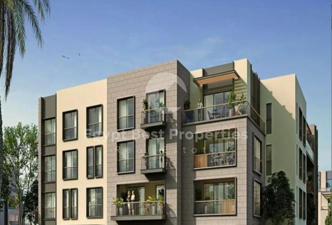 8424486 - Property Image 3