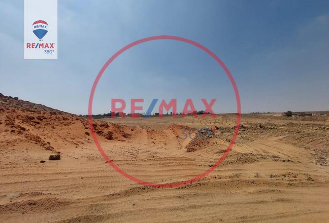 8341544 - صورة العقار 3