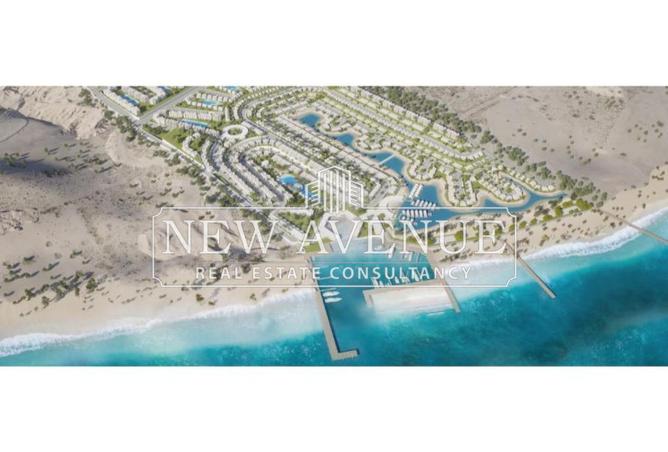 8138450 - Property Image 3