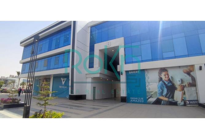 8420852 - Property Image 3