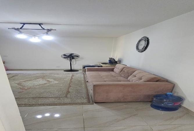8109757 - Property Image 3