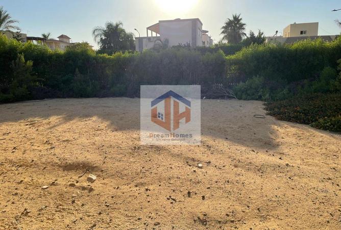 7965488 - صورة العقار 2