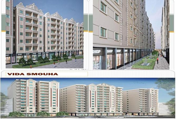 7910204 - Property Image 3