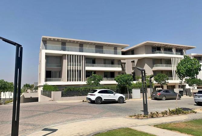 7996097 - Property Image 3
