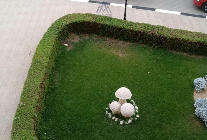 8251061 - صورة العقار 3