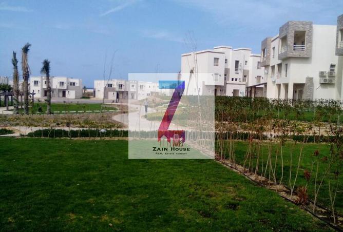 7911757 - صورة العقار 2