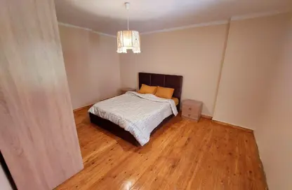 Apartment - 1 Bedroom - 1 Bathroom for rent in Al Canal St. - Maadi - Hay El Maadi - Cairo