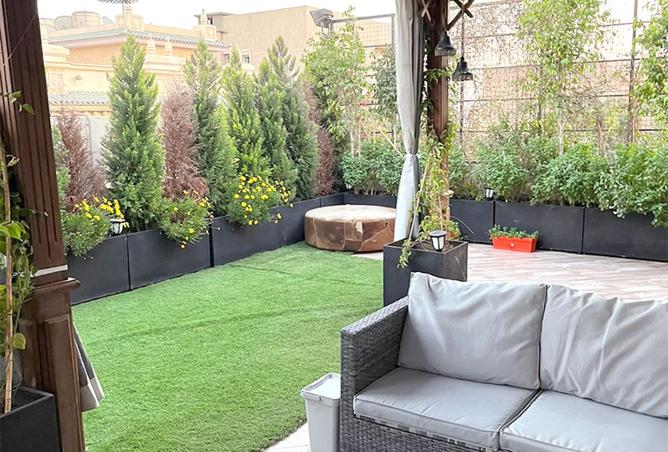 8165215 - Property Image 2