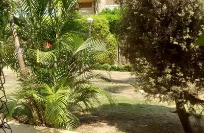Apartment - 2 Bedrooms - 1 Bathroom for rent in El Rehab Extension - Al Rehab - New Cairo City - Cairo
