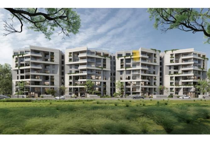 8407650 - صورة العقار 3