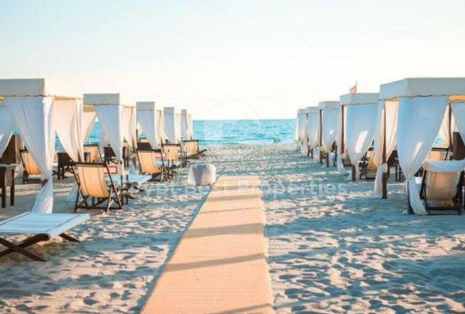 8272234 - Property Image 3