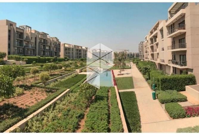 8318288 - الصورة الرئيسية للعقار