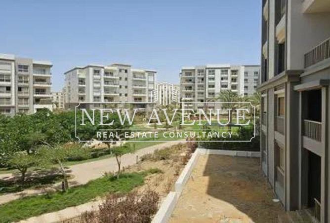 8161235 - Property Image 3