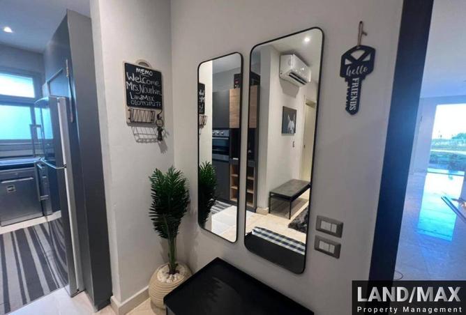 8420353 - Property Image 3