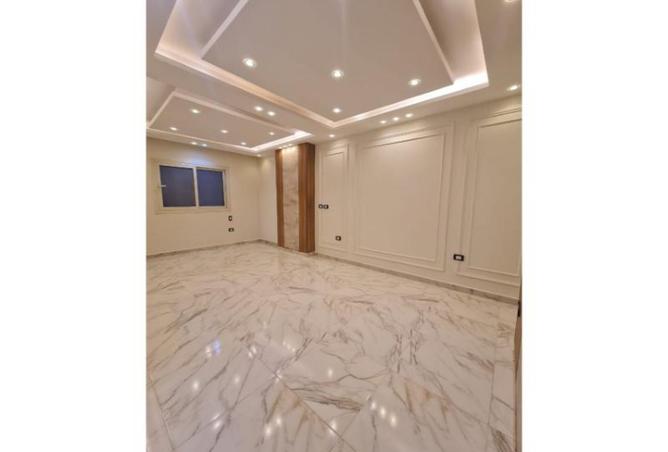8029638 - Property Image 3