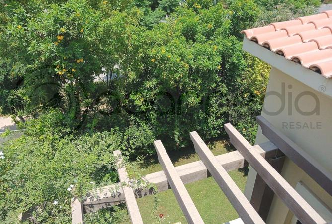 8233324 - Property Image 3