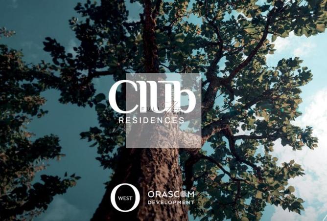 8197149 - صورة العقار 2