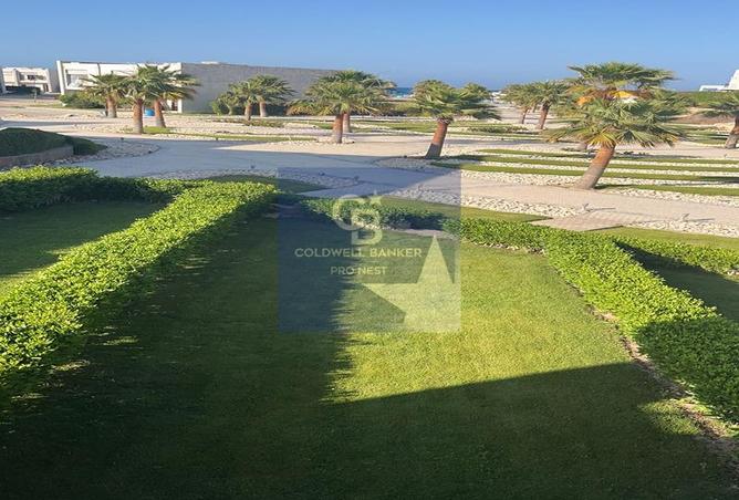 7981627 - Property Image 3