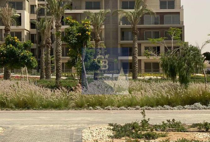 8463595 - صورة العقار 3