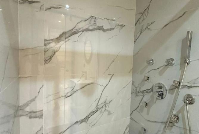 8222040 - صورة العقار 3