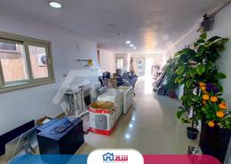 Apartment - 3 bedrooms for للايجار in Abo Qir St. - Sporting - Hay Sharq - Alexandria