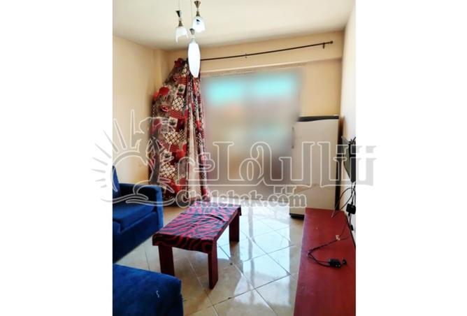 8246366 - Property Image 3