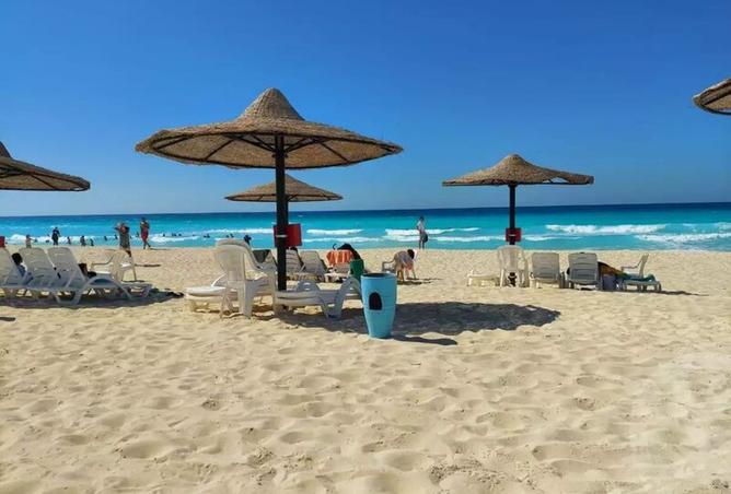 8378325 - Property Image 2