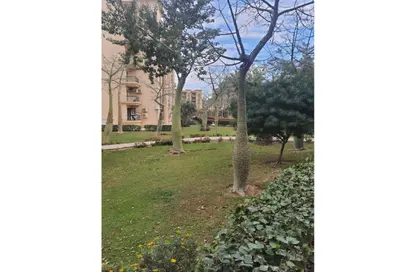Apartment - 2 Bedrooms - 1 Bathroom for rent in El Rehab Extension - Al Rehab - New Cairo City - Cairo