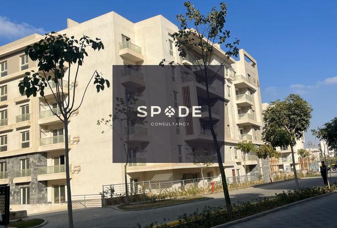 7474482 - Property Image 3