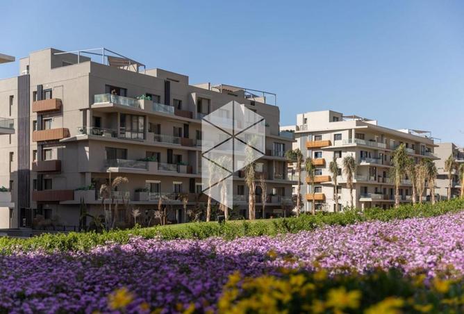 8301220 - Property Image 2