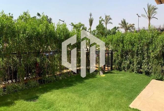 8023165 - صورة العقار 3
