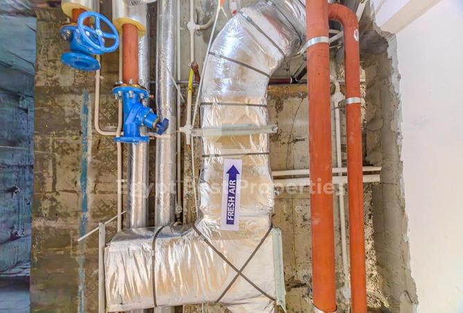 8159745 - Property Image 3
