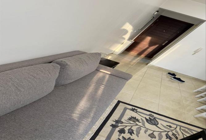 7983332 - Property Image 3