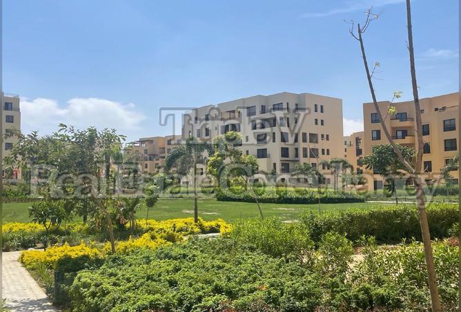 8343105 - الصورة الرئيسية للعقار