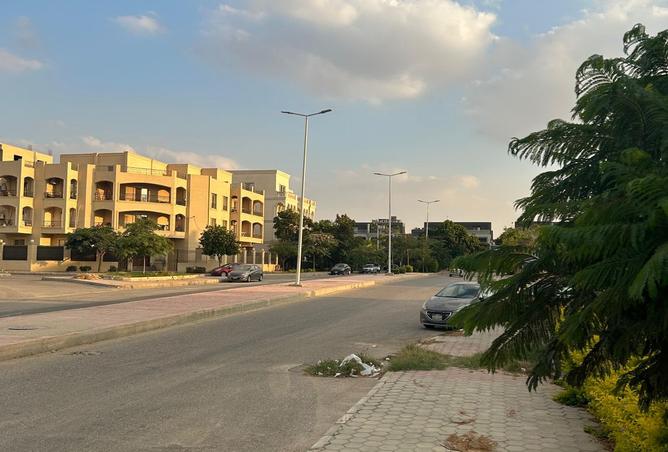 8117677 - Property Image 2