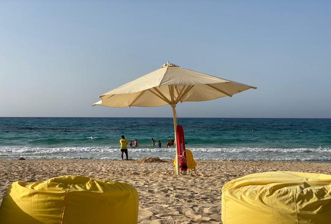 7991246 - صورة العقار 3