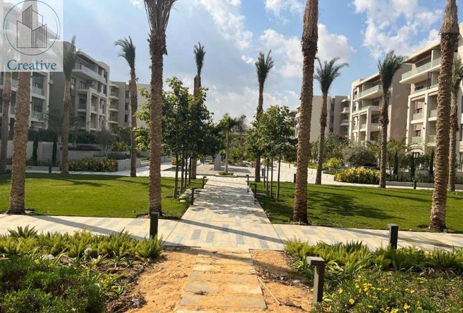 8393464 - صورة العقار 3