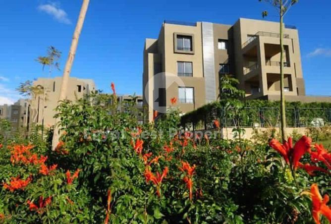 8211187 - Property Image 3