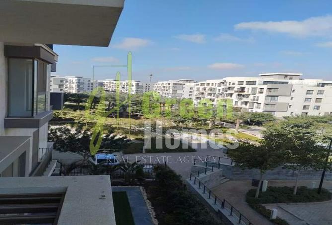 8247006 - صورة العقار 2