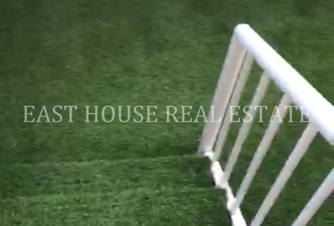 8405353 - صورة العقار 2