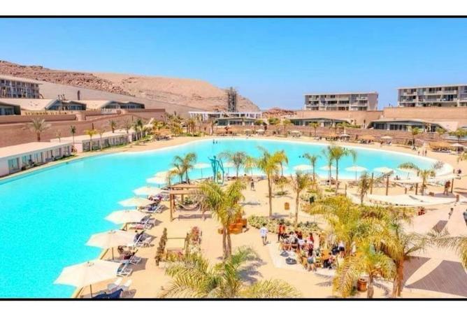 8150781 - صورة العقار 3